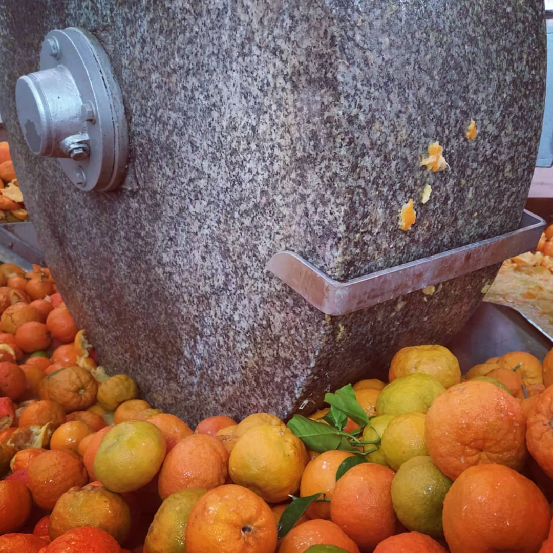 Biolea â Tradition Meets Innovation in Olive Oil Making