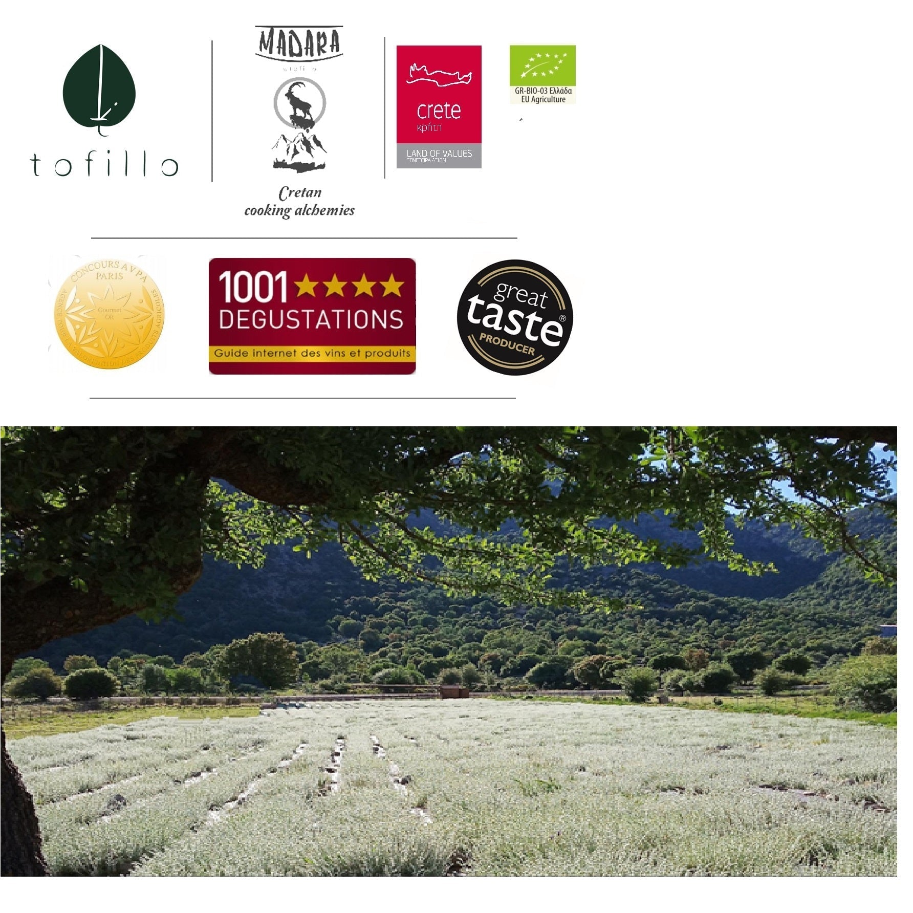 Organic Cretan Sage 2024 | Premium Herbal Tea | Certified Organic Food at The Bio Foods Berlin