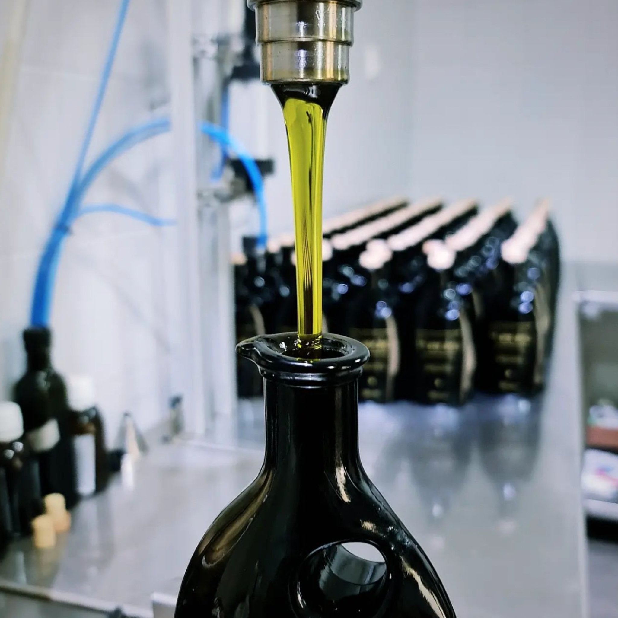 Bottling process of Pamako Organic EVOO